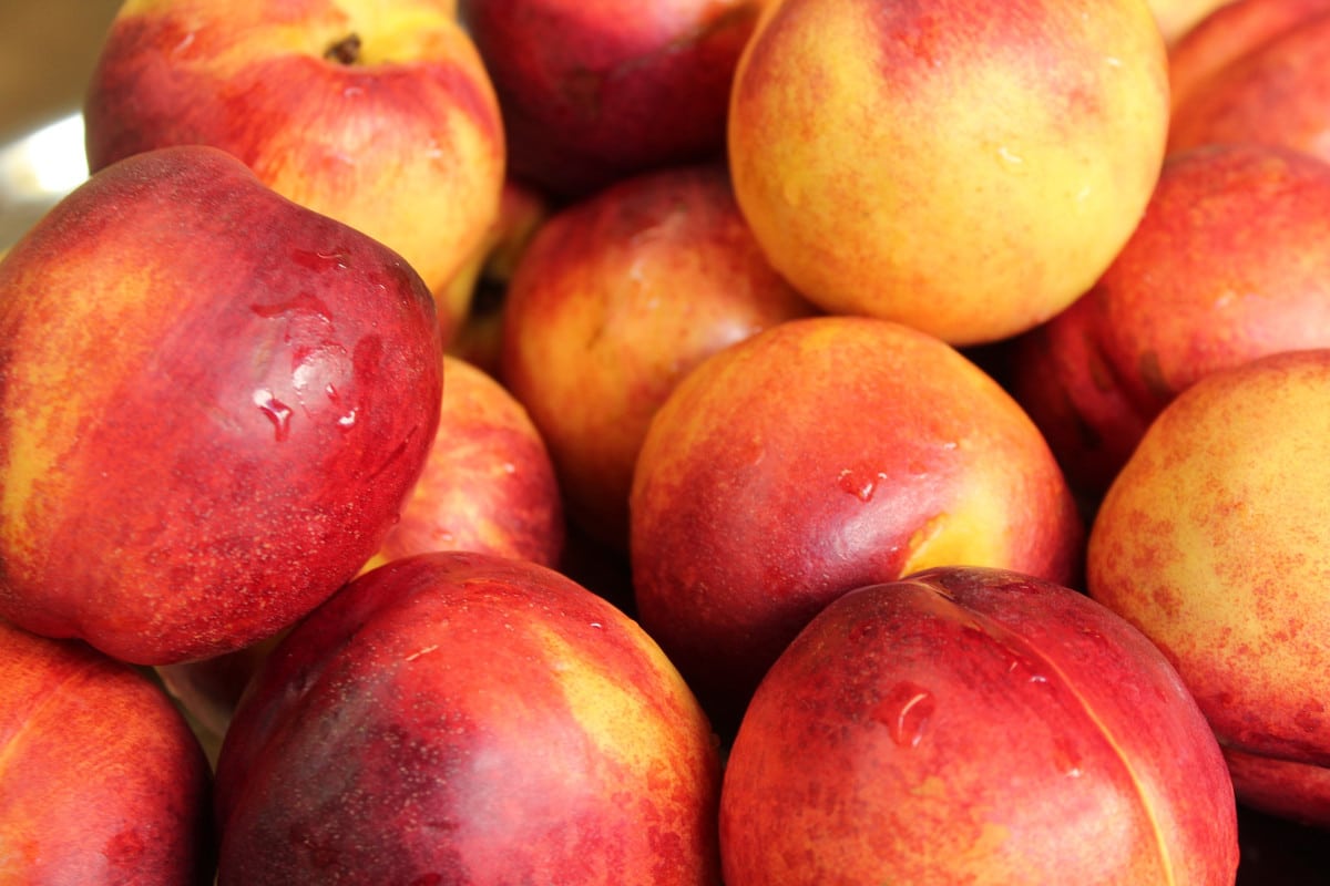 How To Ripen Nectarines Quickly Best Methods To Use