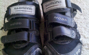 Shimano