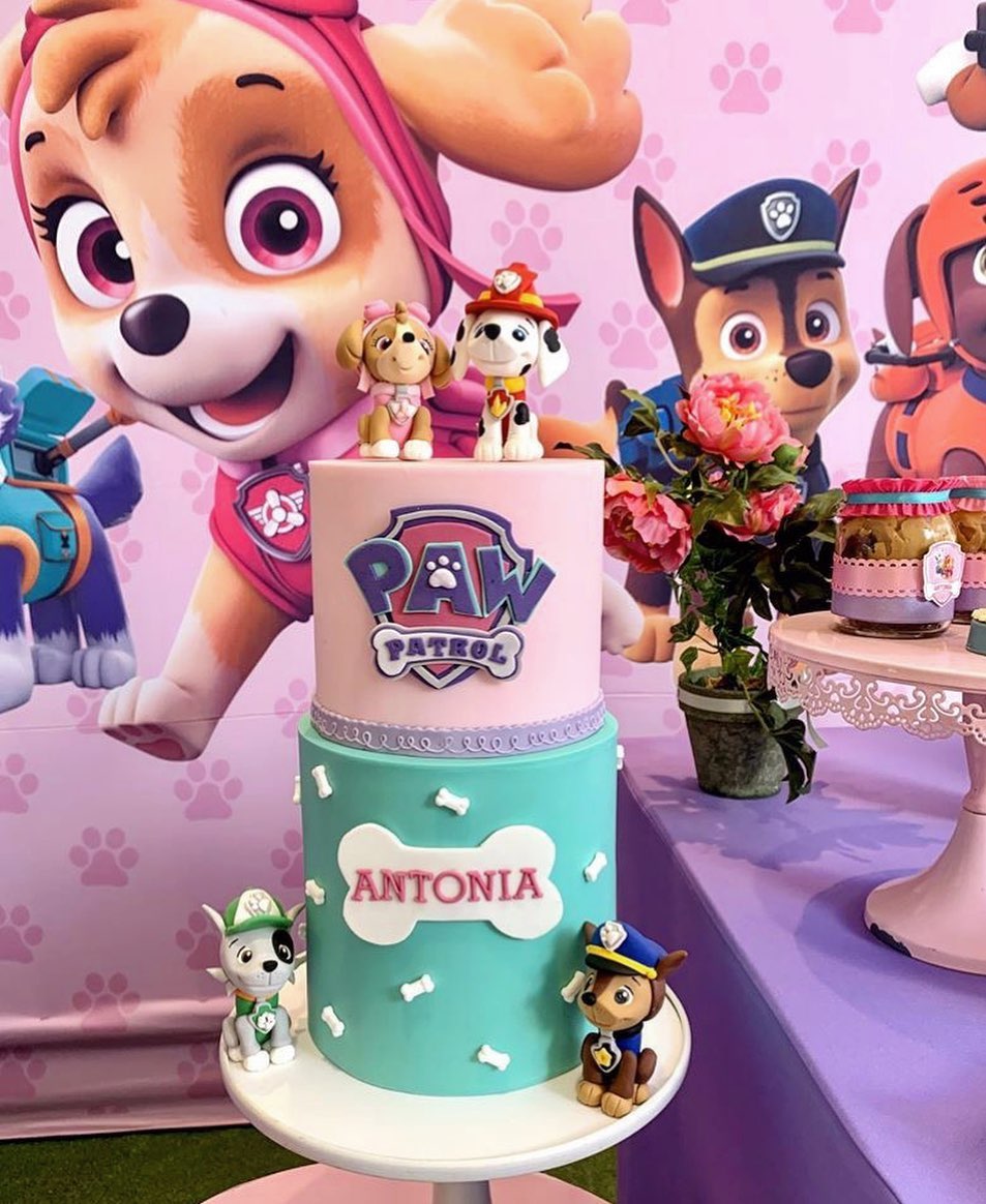 15 Paw Patrol Cake Ideas for Girls & Boys That Are Super-Cool