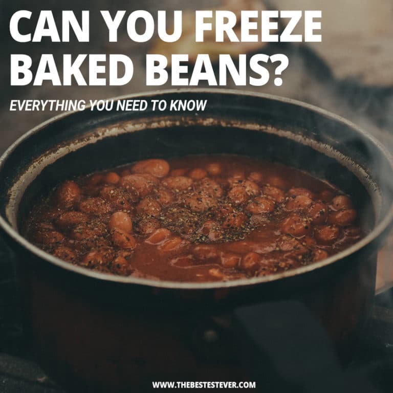 can-you-freeze-baked-beans-in-depth-storage-guide