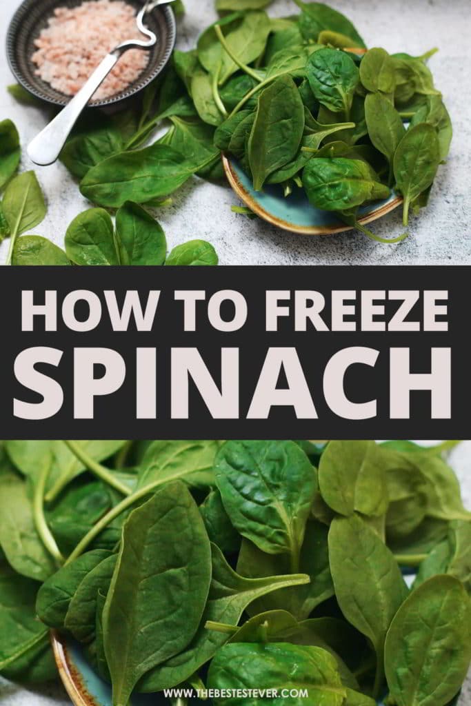 Can You Freeze Spinach Leaves? Look at This Guide to Find Out!