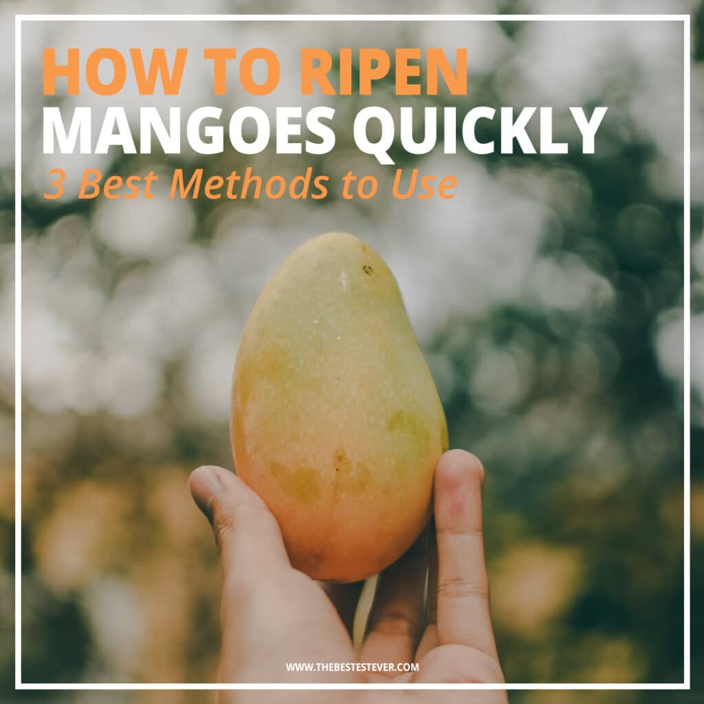 How To Ripen A Mango Quickly 3 Best Methods To Use