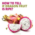 How Do You Know if Dragon Fruit is Ripe? (3 Ways to Tell)