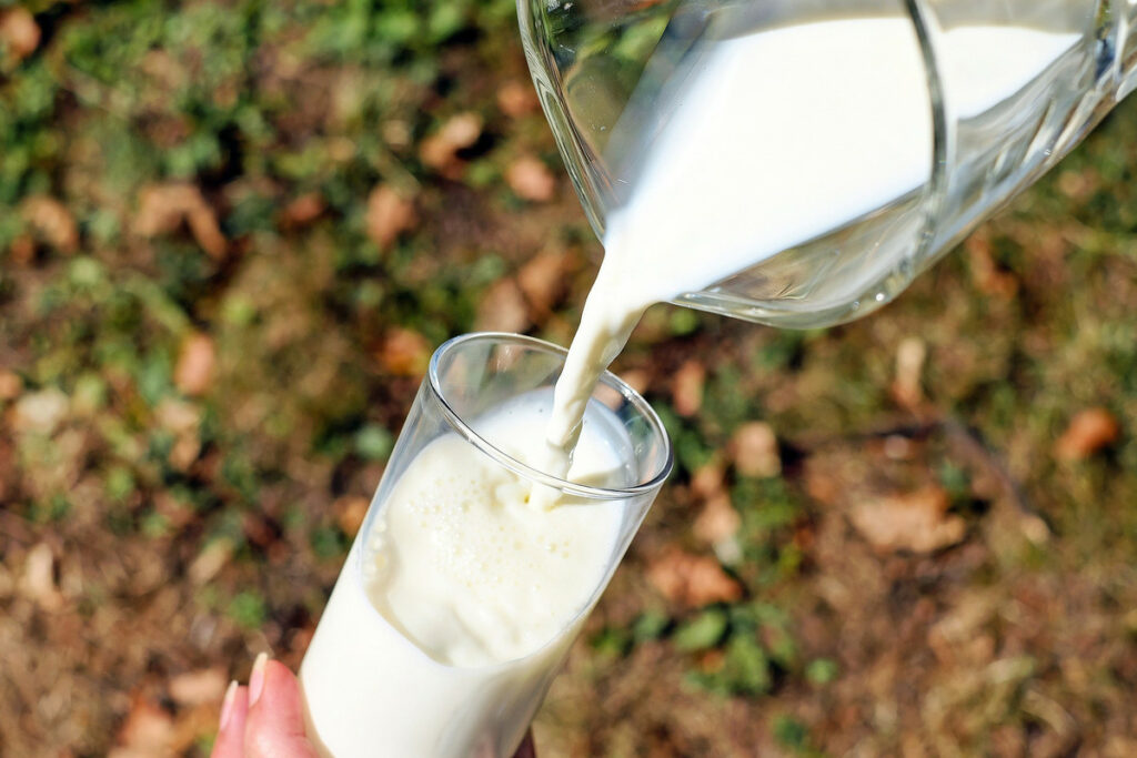 What Happens If You Drink Spoiled Milk Is It Bad To Do This 